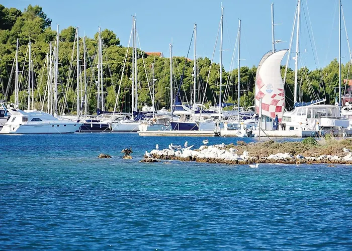 Cozy In With Wifi Ražanj